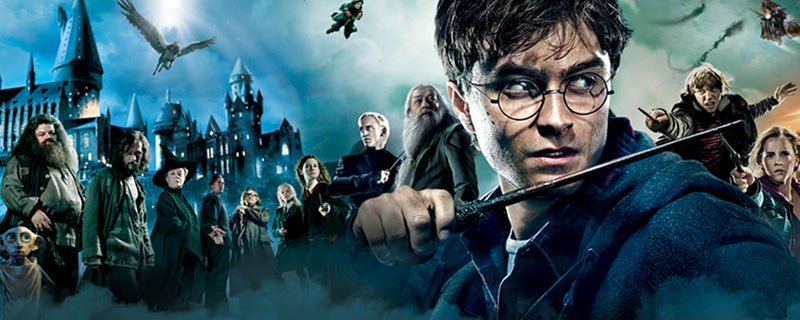 Dilaras: Harry Potter Banner