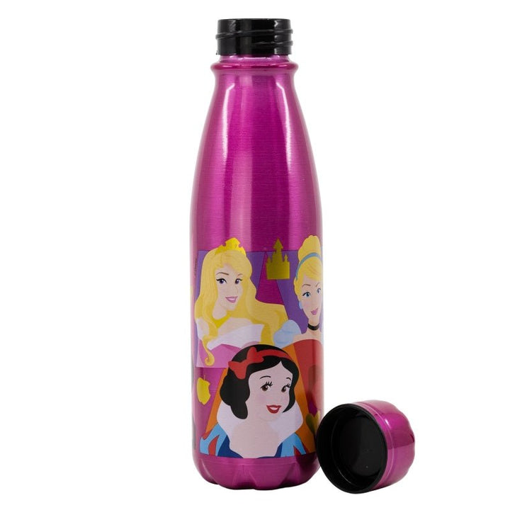 Disney Princess Trinkflasche Metall von Dilaras.at | Dein Shop für Trinkflasche & Brotdosen